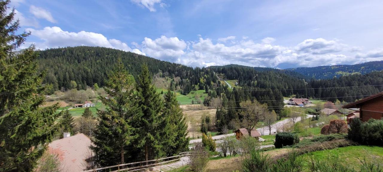 Chalet De La Grimpette Au Coeur De جوراردُميه المظهر الخارجي الصورة